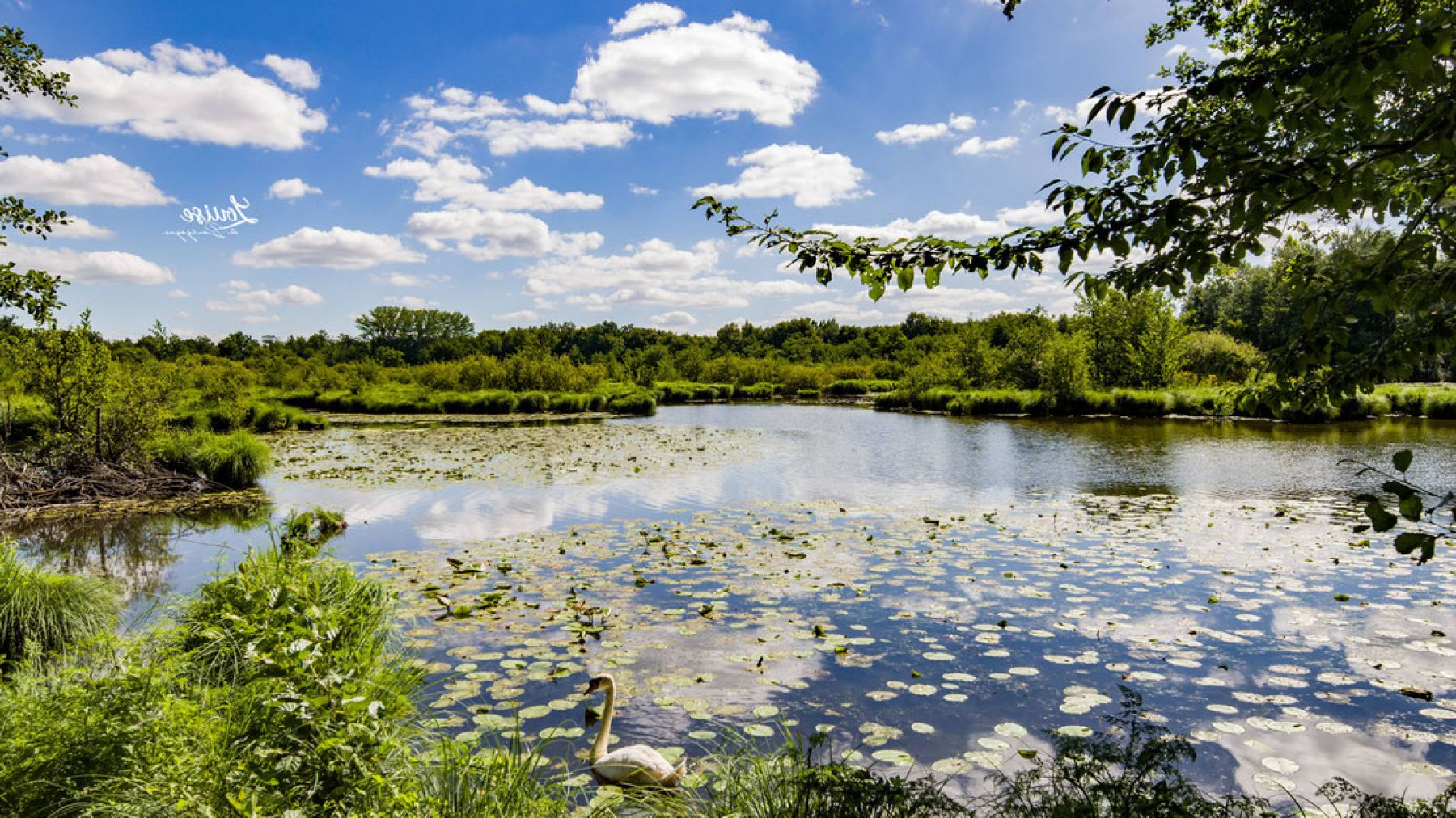  Ideas for hiking in southern Burgundy