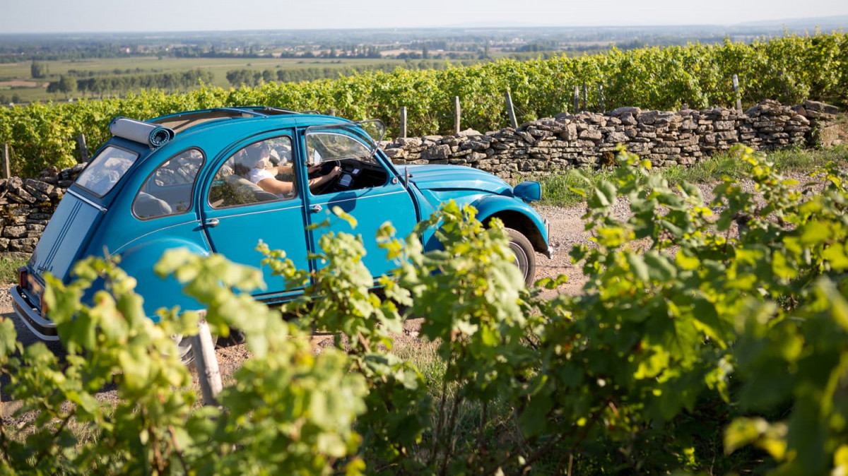 Vos activites a╠Ç Tournus (4)-20.jpg