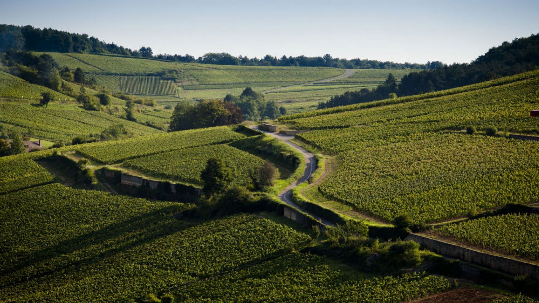 Pourquoi aller en Bourgogne ?