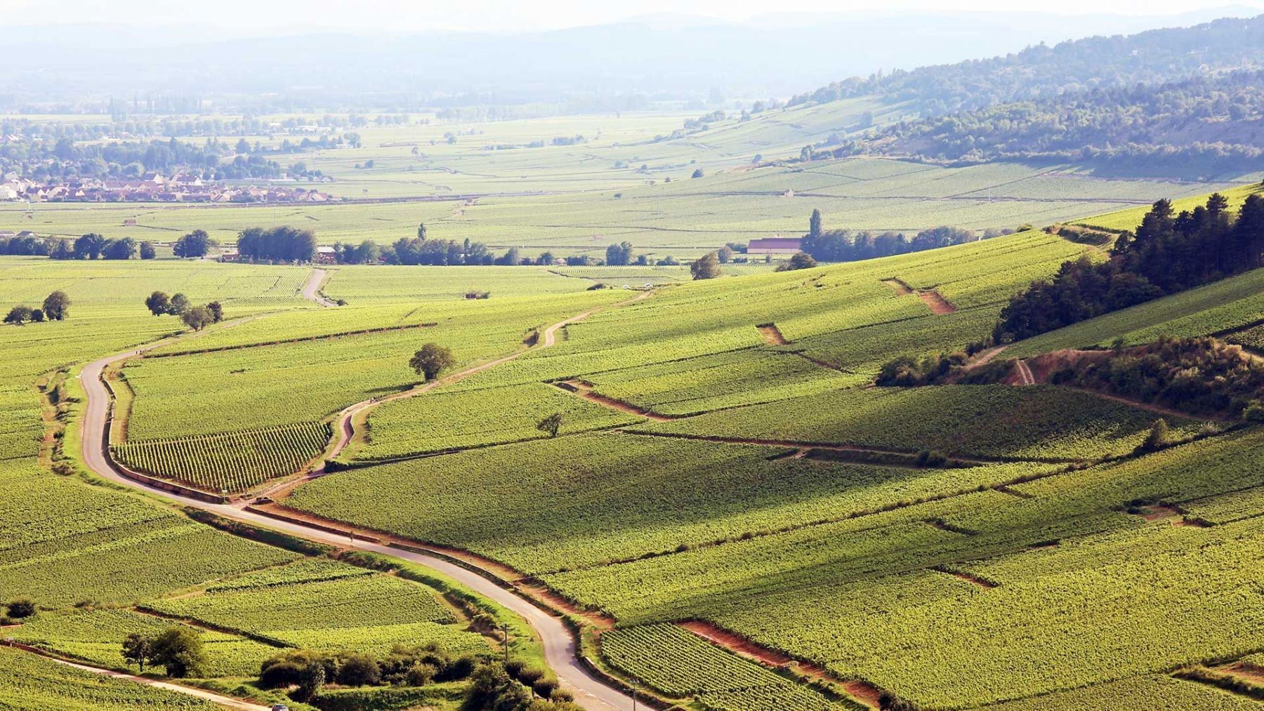 Où aller se promener en Bourgogne ? 