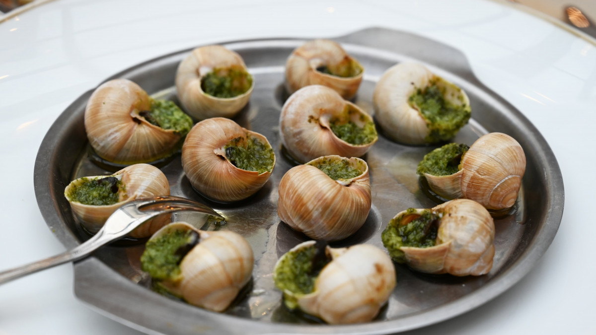 escargot.jpg escargot.jpg
